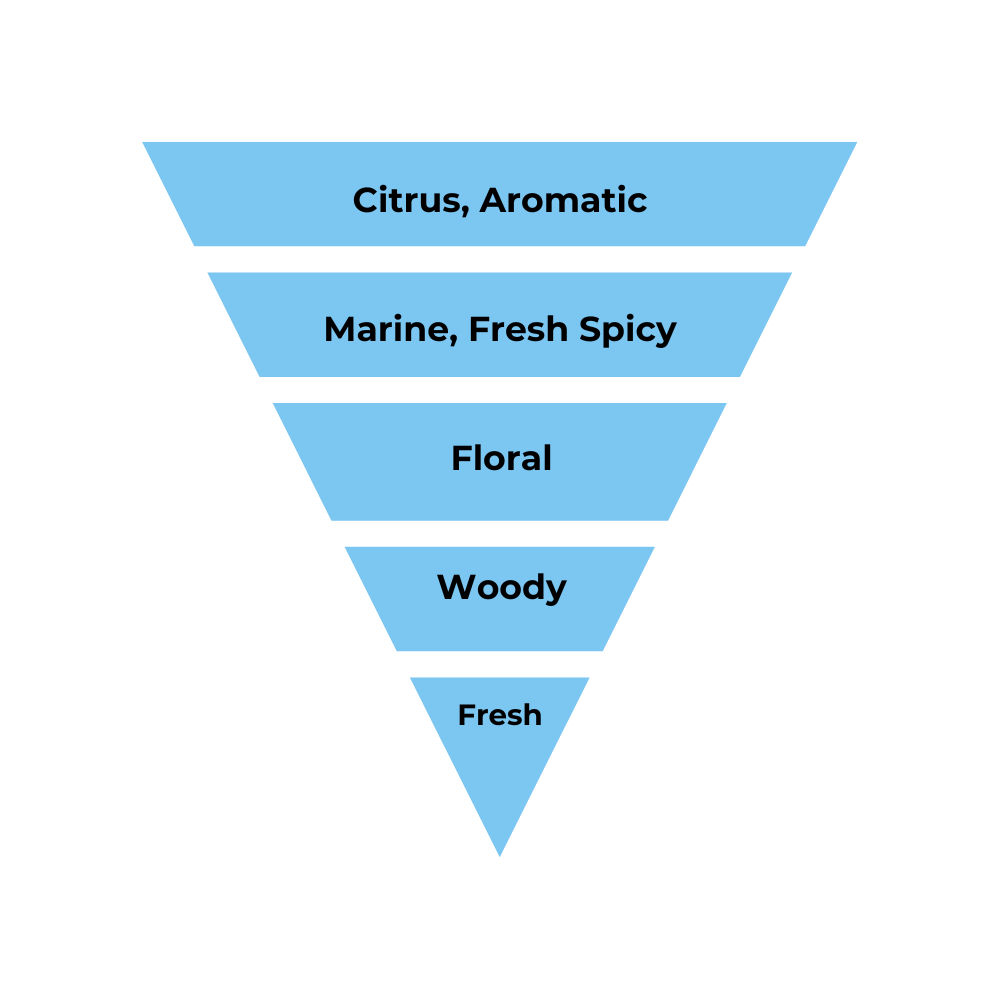 No.31 - Inspired by Dior Homme Intense