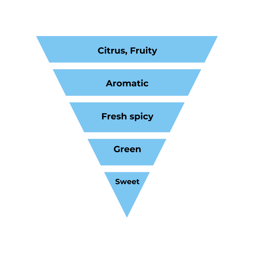 No.05 - Inspired by Louis Vuitton Afternoon Swim