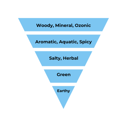 No.24 - Inspired by Valentino Uomo Born in Roma